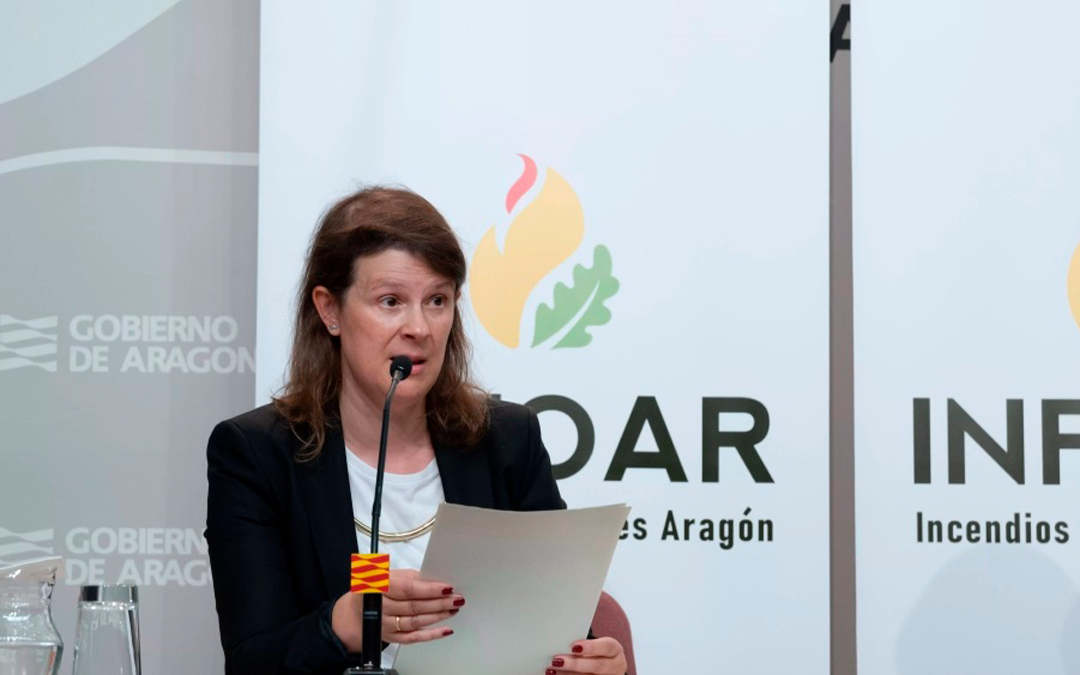 Ana Oliván es la Directora General de Gestión Forestal del Gobierno de Aragón./ DGA