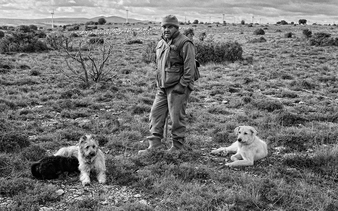 GEOGRAFÍAS DEL OLVIDO 01:Noviembre 2016. Retrato de un pastor de ovejas trashumante con sus perros en la provincia de Zamora, cerca de la frontera con Portugal, una de las zonas más despobladas de España./ Santi Cogolludo