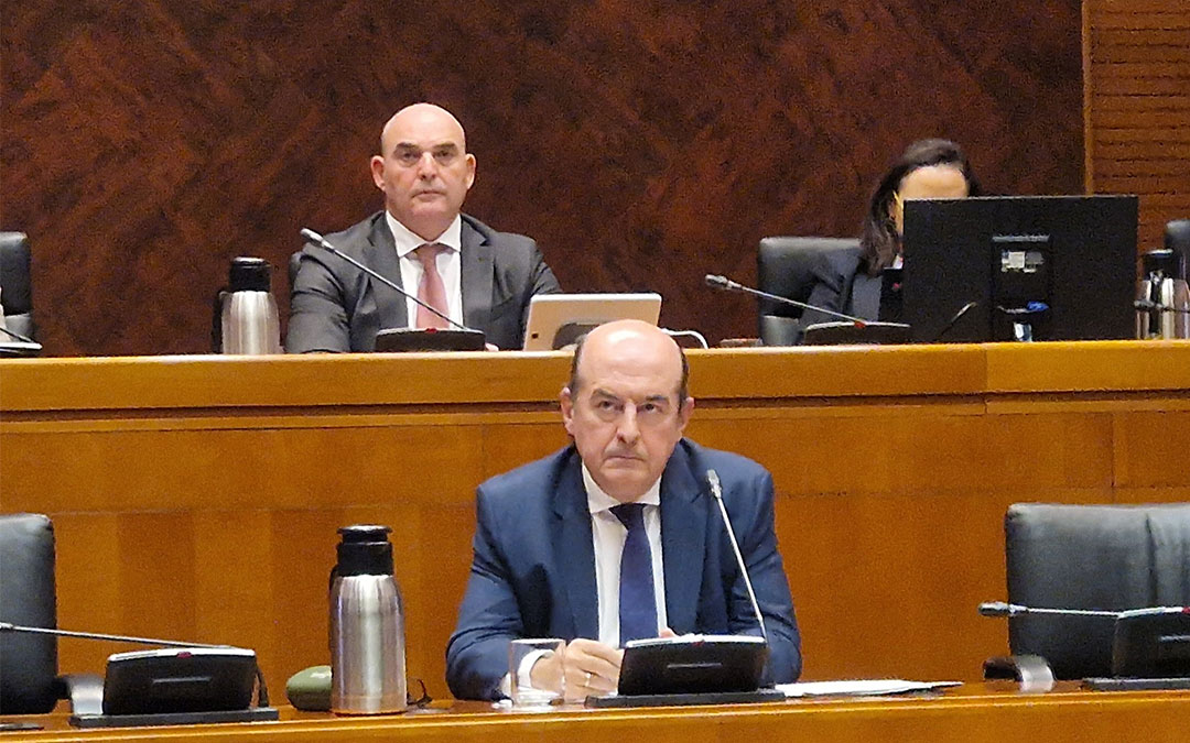 El director general de Asistencia Sanitaria y Planificación, Ramón Boria, comparece ante la Comisión de Sanidad de las Cortes de Aragón./ Gobierno de Aragón