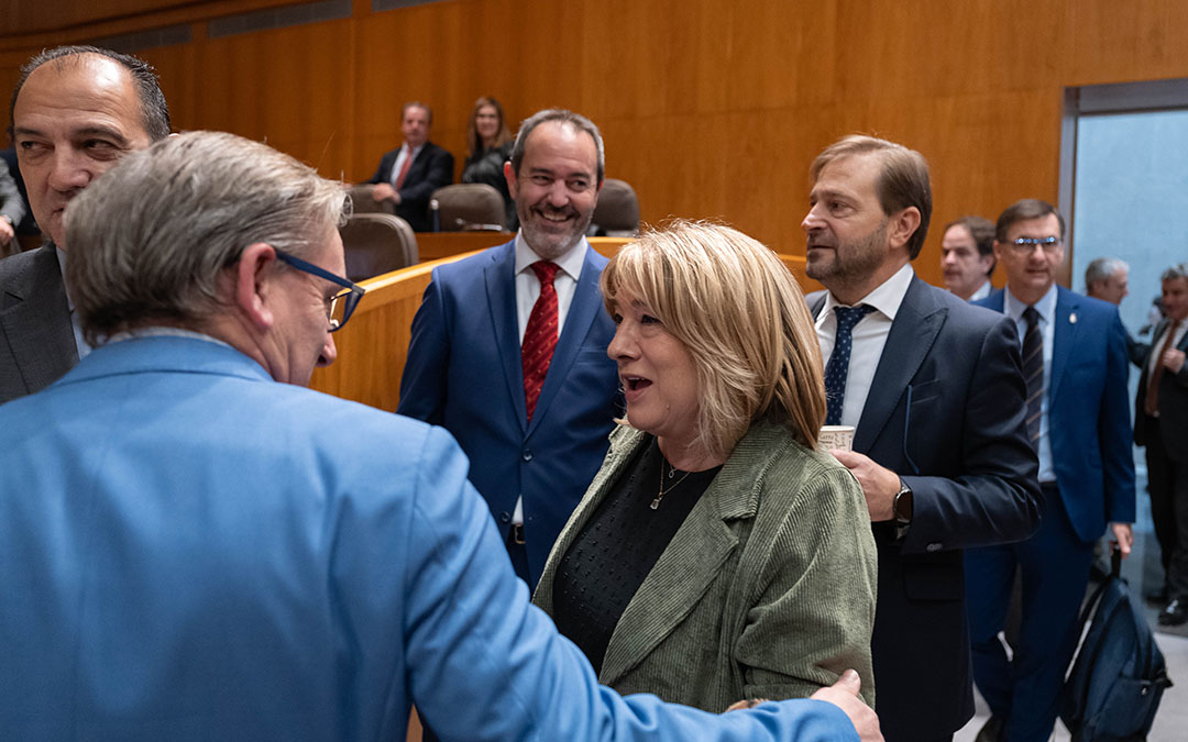 La consejera Tomasa Hernández presenta en las Cortes el Plan de Concordia Democrática. / Fabián Simón.