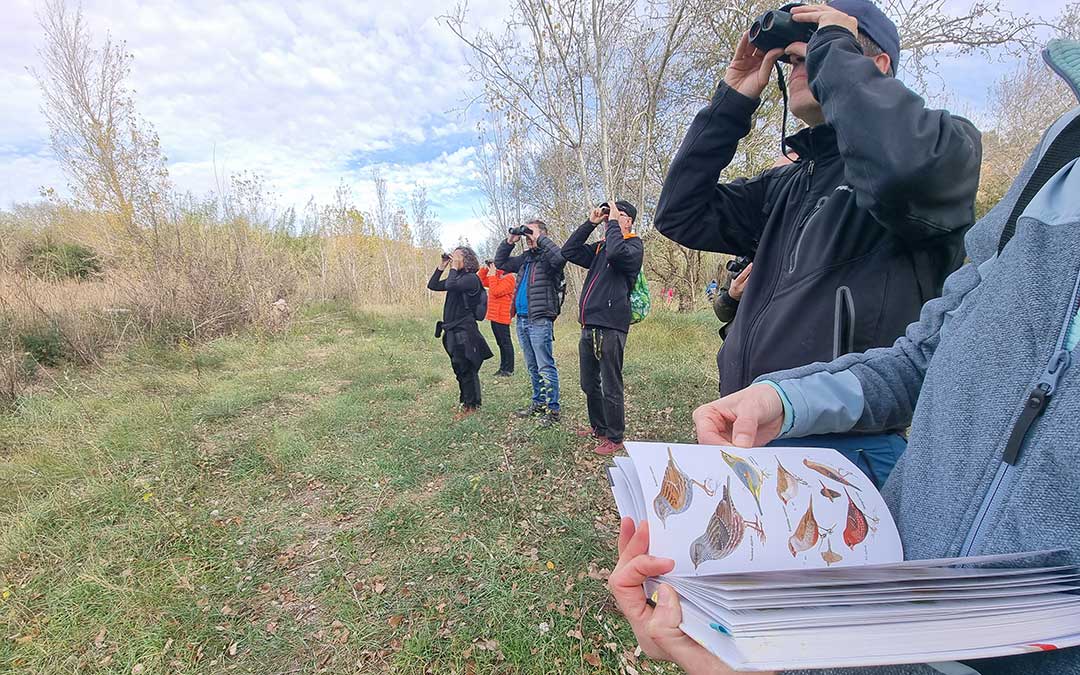 Prismáticos y guías para identificar a las aves en Urrea de Gaén. / Ricardo Rodríguez - Káralom