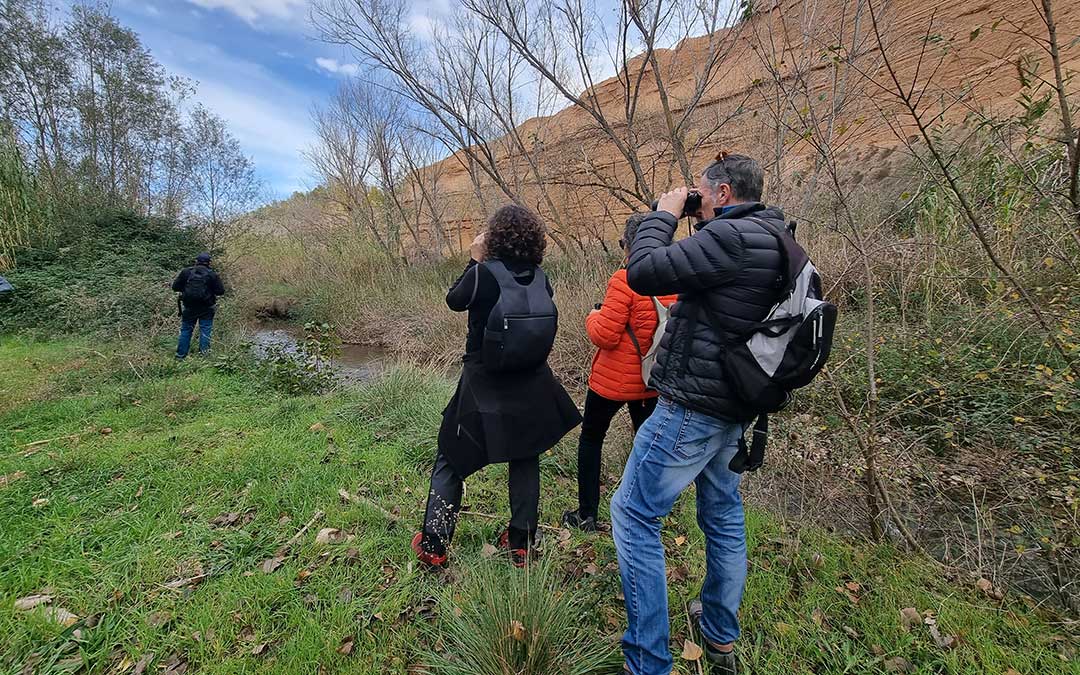 Prismáticos y guías para identificar a las aves en Urrea de Gaén. / Ricardo Rodríguez - Káralom