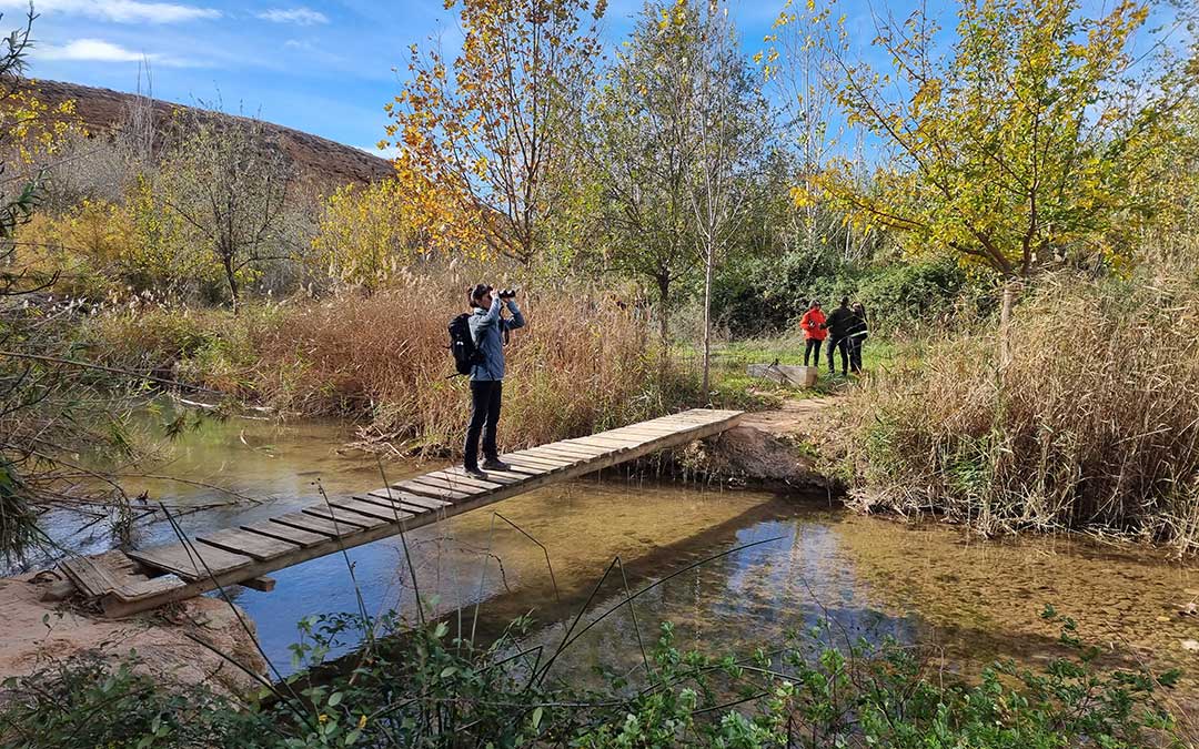 La zona del puente sobre el río Martín, una de las elegidas para ver aves. / Ricardo Rodríguez - Káralom