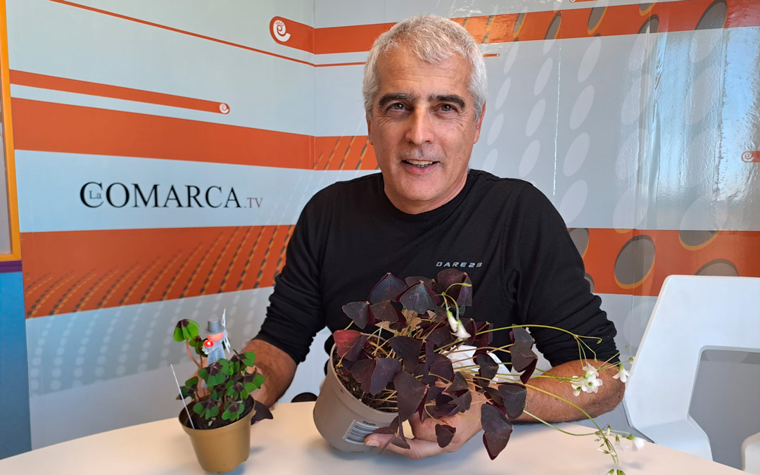 Espacio Verde de Javier Carela. /N.A.
