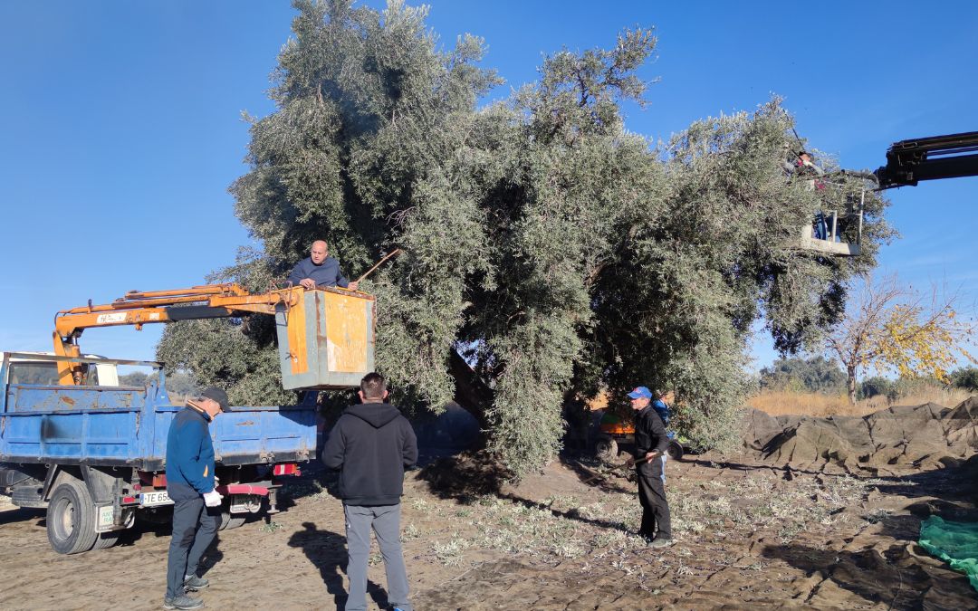 Se recolectaron 512 kilos./ Alberto Gracia.