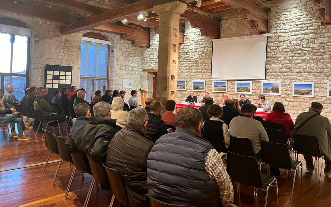 Las diferentes actividades propuestas contaron con una importante participación. /L.C.