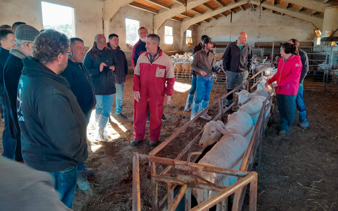 La capital de Els Ports es pionera en acoger este evento que a unido a diferentes implicados del sector. /Ajuntament de Morella