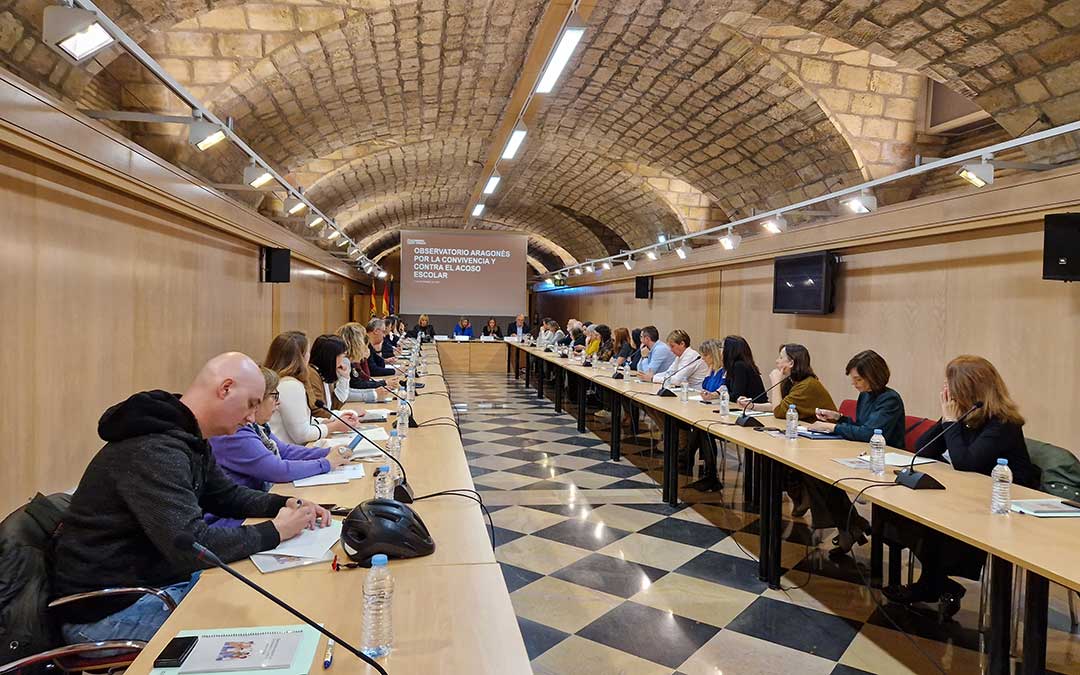 El pleno del Observatorio se reunió en la Sala Hermanos Bayeu del Pignatelli, sede del Gobierno de Aragón. / DGA