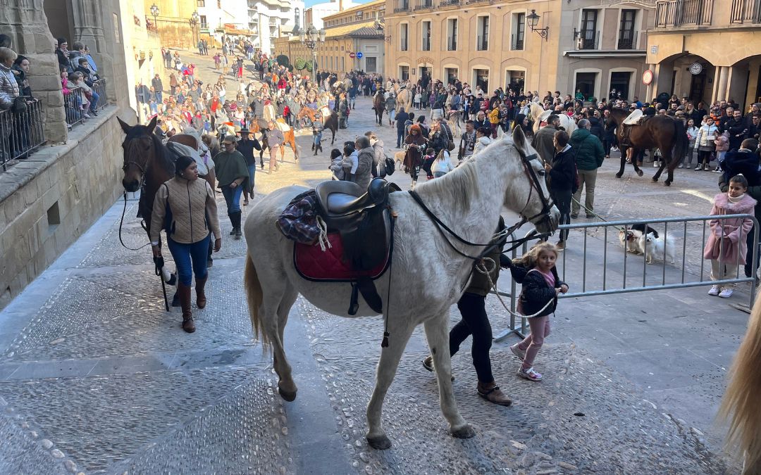 Los caballos captaron la atención de todos los presentes./ C.O.