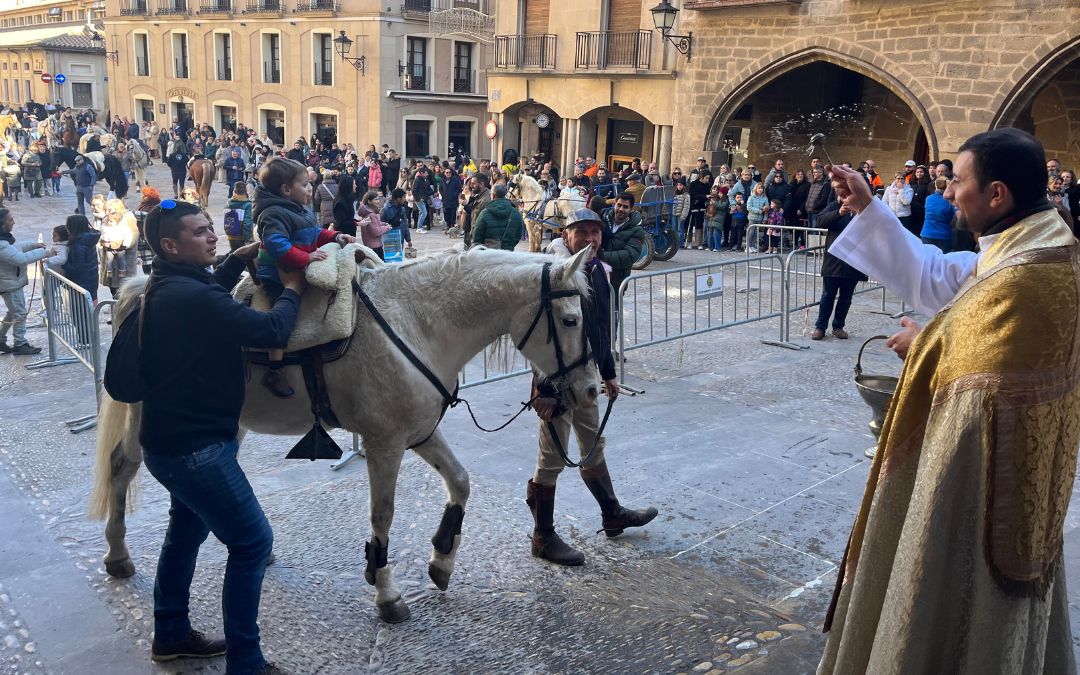 Bendición de animales este domingo en Alcañiz./ C.O.