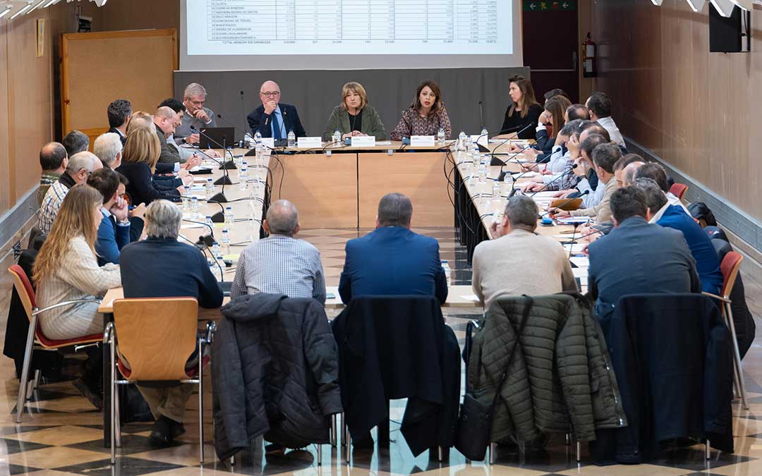 Reunión del Consejo de Cooperación Comarcal este martes./ Fabián Simón-DGA