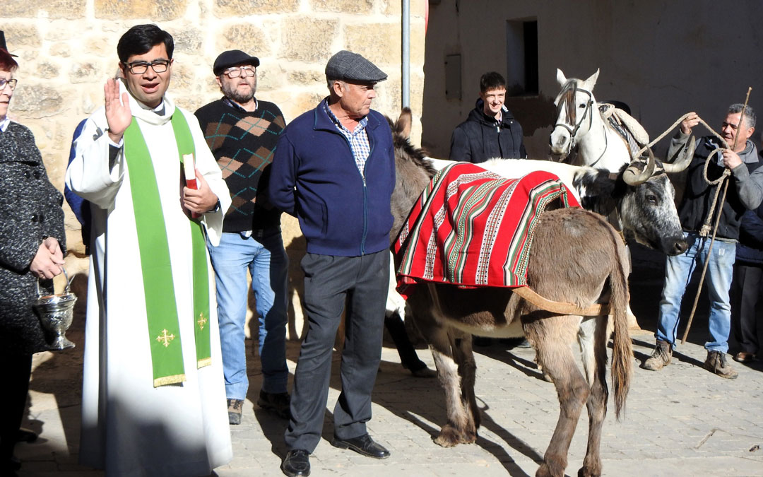 Las tradicionales ‘Lobas a Sant Antoni’ en la iglesia el domingo tras la misa en honor al patrón en Cretas./ Juan Luis Camps