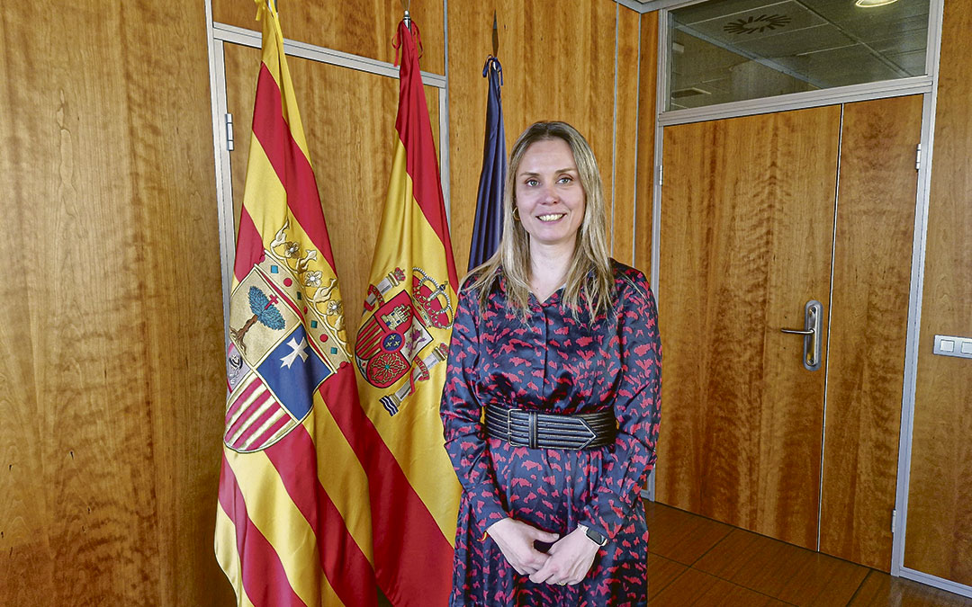 Pilar Borraz, DGA
