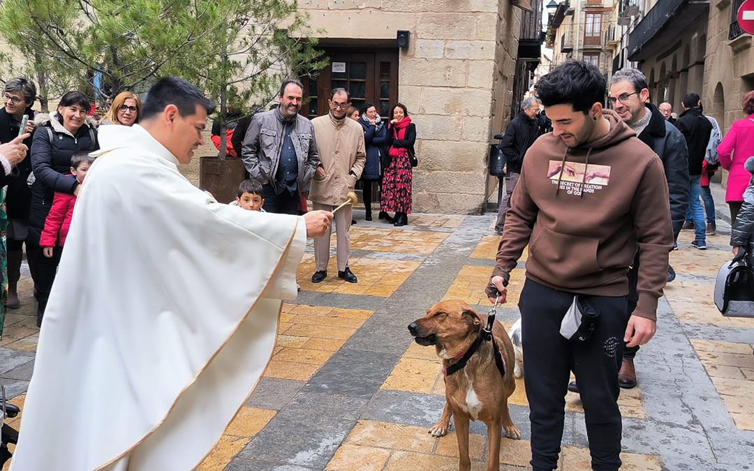 Tras la solemne misa ha tenido lugar la bendición de animales./ M. Bardavio