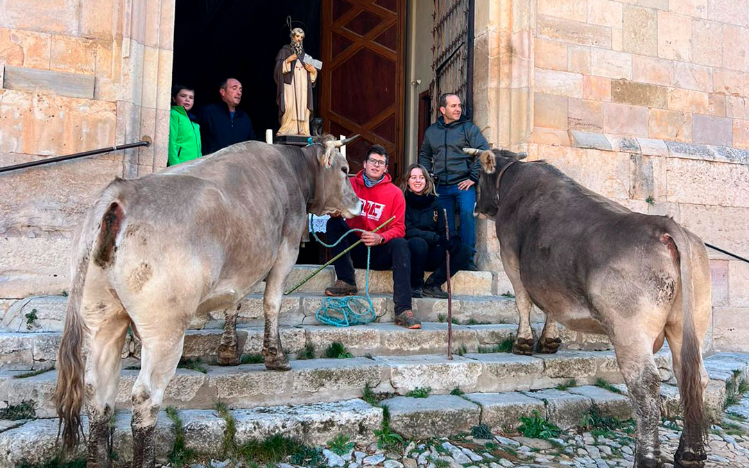 San Antonio bendijo y auguró salud a vacas, caballerías o caninos en Villarluengo el domingo por la mañana antes de la misa y procesión./ Javier Boné Cases