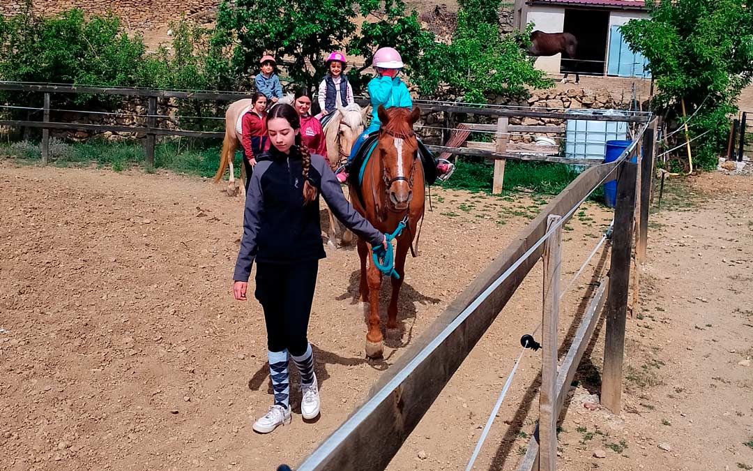 El picadero se busca sustituir por establos preparados. /Amigos del Caballo
