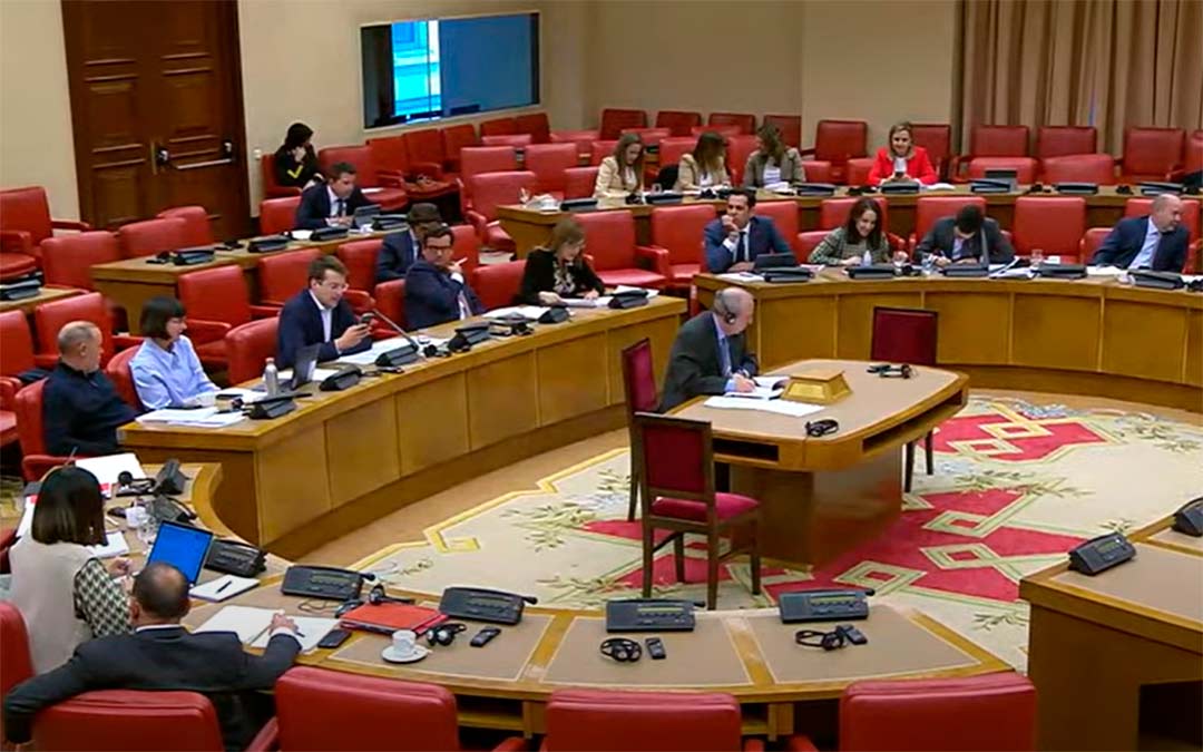 Comisión de Reto Demográfico el miércoles en el Congreso de los Diputados./L.C.