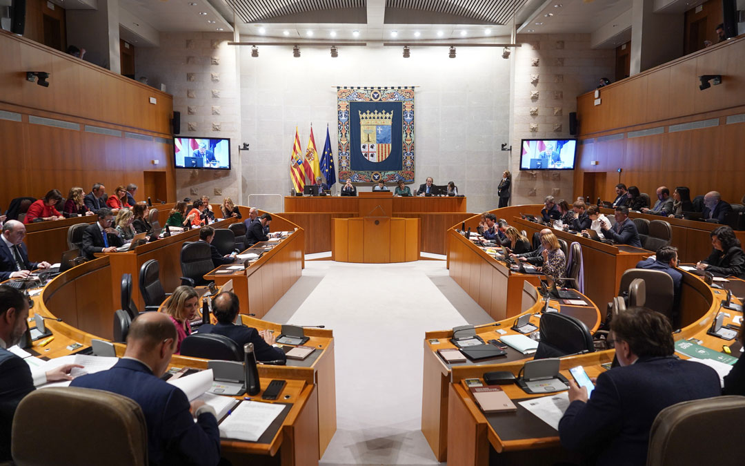Pleno de las Cortes de Aragón en la sesión plenaria de este jueves./ DGA