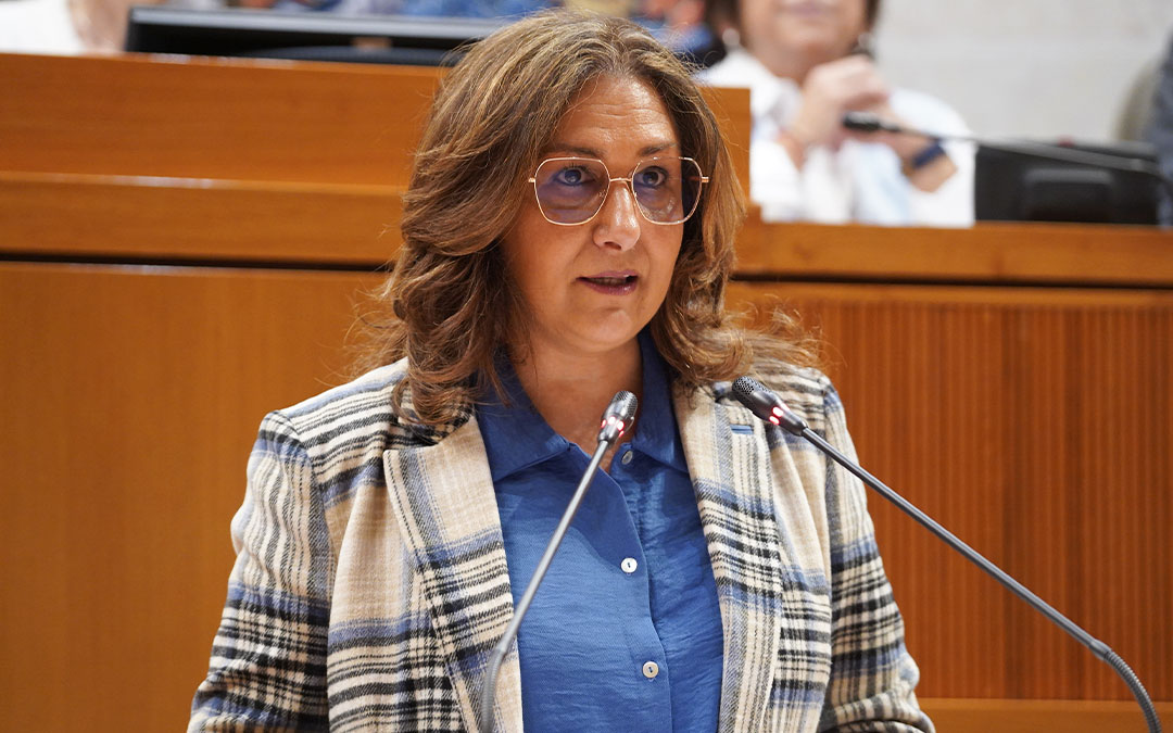 La diputada de Aragón-Teruel Existe, Pilar Buj./ Teruel Existe