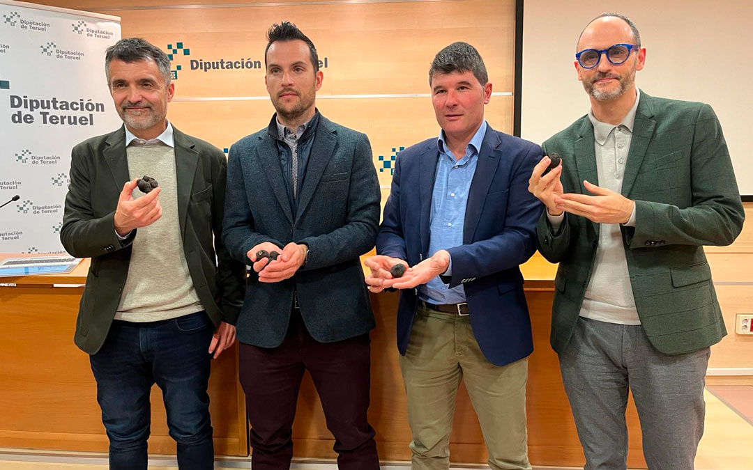 Presentación del programa este martes en la sede de la Diputación./ DPT