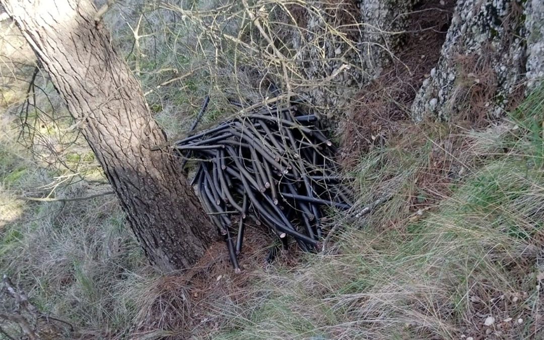 Cables de telefonía hallados en un bosque tras ser cortados y preparados para ser quemados./ L.C.