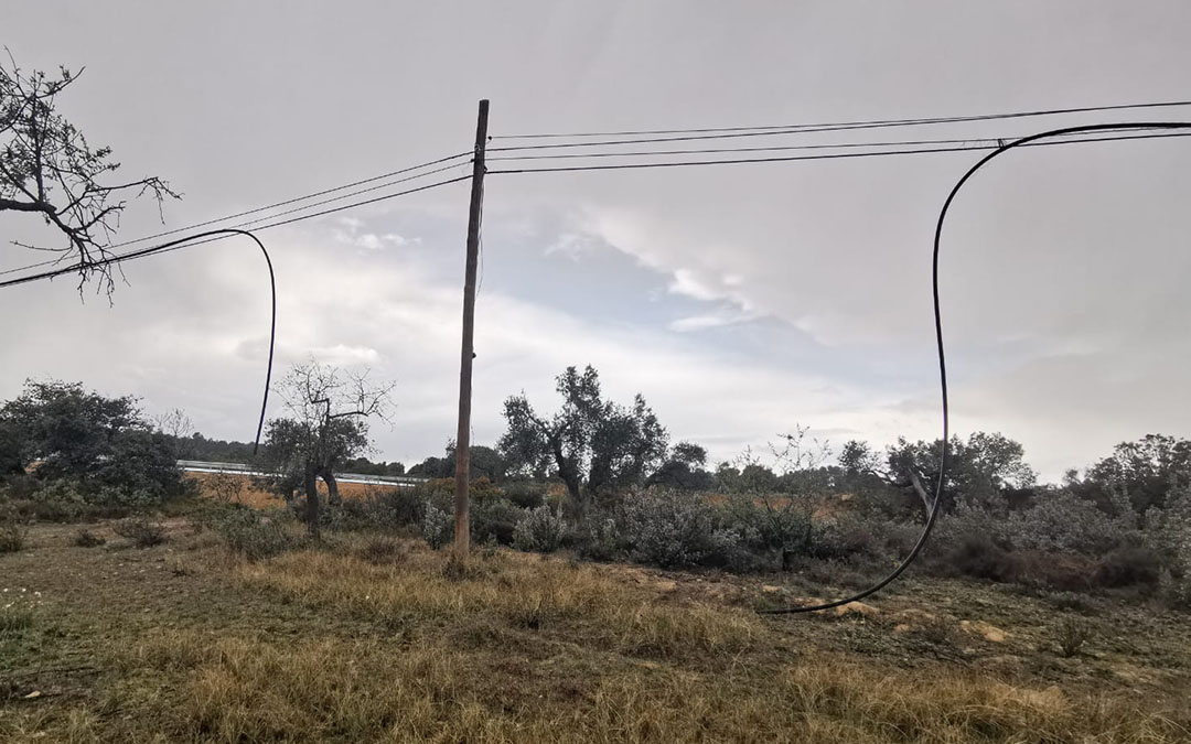 La banda organizada invade las propiedades privadas para cortar y extraer el cable. En la imagen, línea entre Arens de Lledó y Calaceite./ L.C.