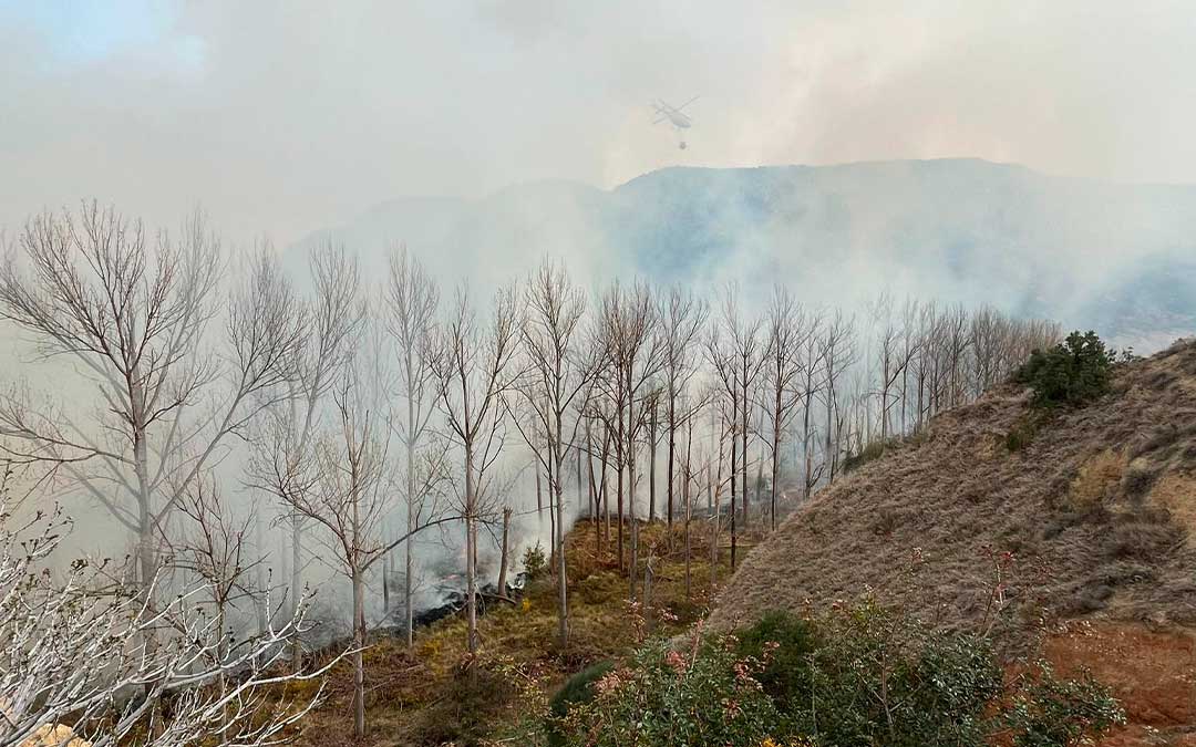 Incendio forestal entre Ariño y Albalate. / La COMARCA
