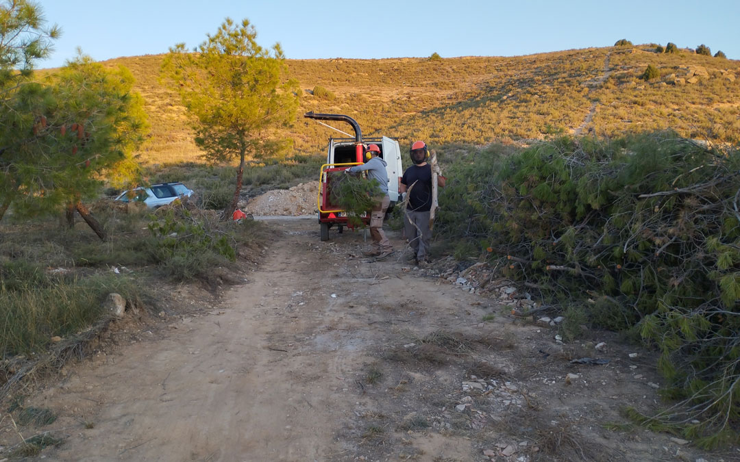 Los jóvenes realizando tareas de limpieza en el entorno de San Macario./ Ayto Andorra
