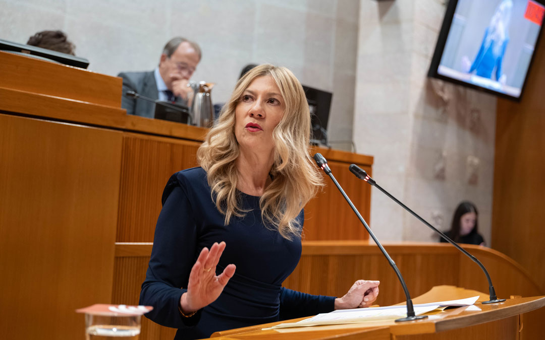Mar Vaquero durante su intervención en las Cortes./DGA