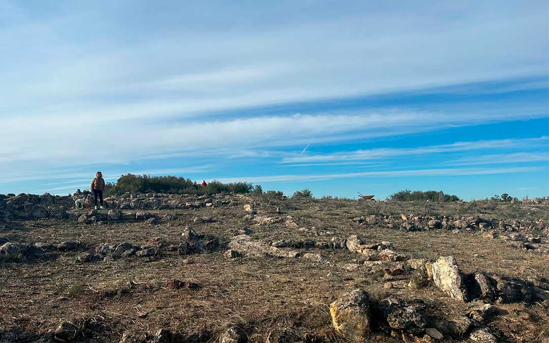 El yacimiento se encuentra a 4 kilómetros de Fabara./ Esther Vicente
