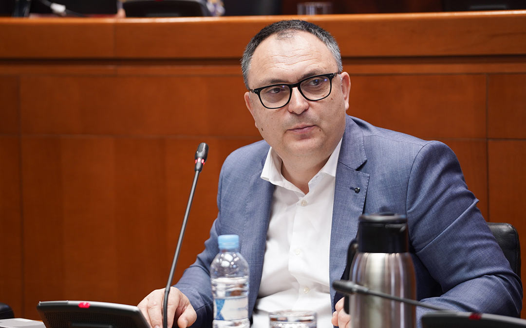 El director general del INAGA durante su comparecencia./Cortes de Aragón