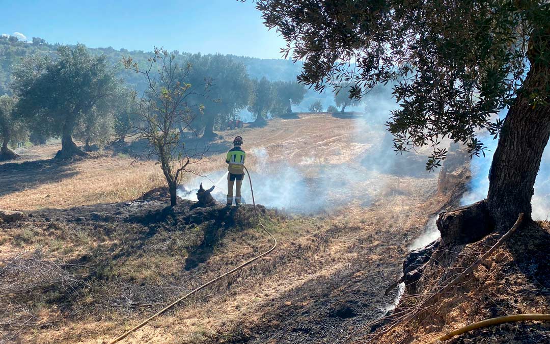 La zona afectada se trató de un campo de olivos. /DPT