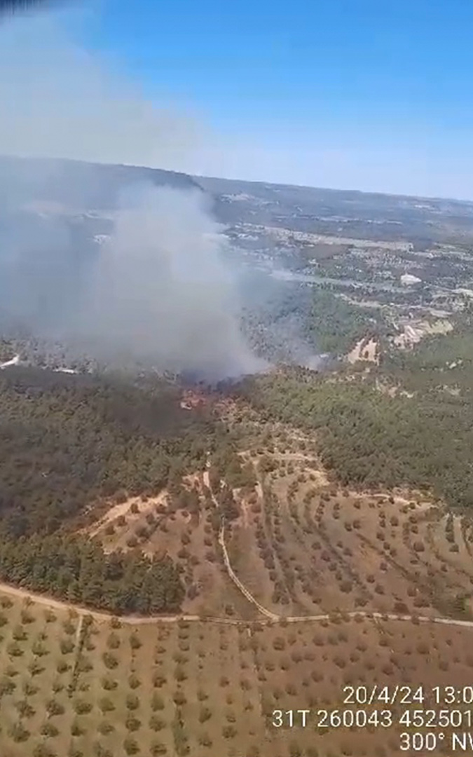 Los bomberos forestales actuaron en la zona. /INFOAR