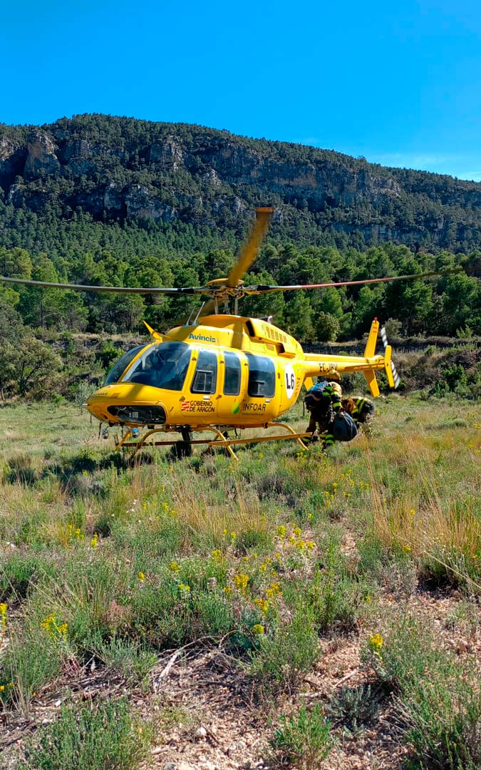 Los bomberos forestales actuaron en la zona. /INFOAR