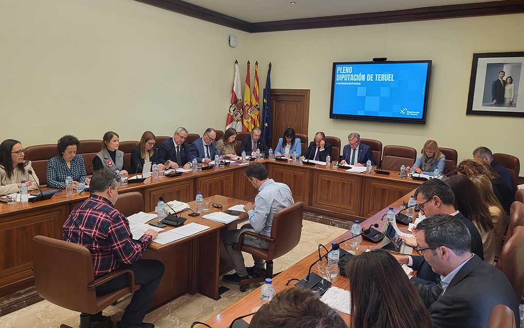 Pleno de la DPT celebrado este miércoles 24 de abril de 2024./ DPT