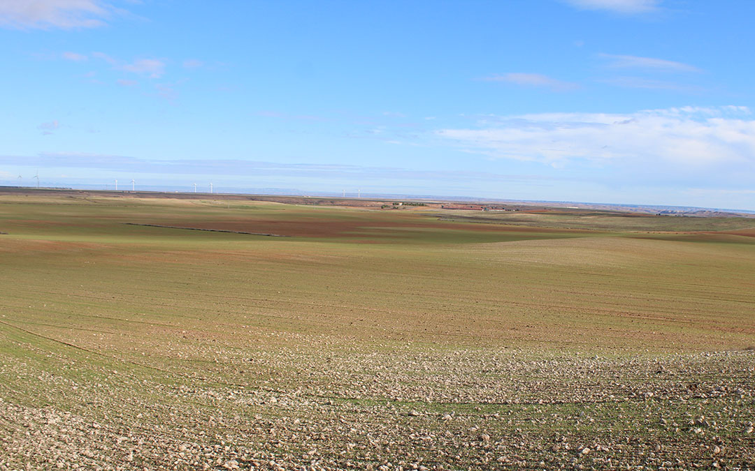 Campo de secano con una granja al fondo es el paisaje más común en Vinaceite y que cambiará en parte. / B. Severino
