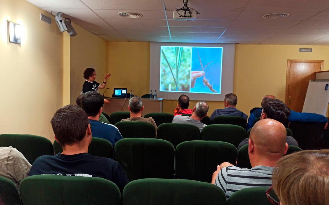 Ana Isabel Mari León, técnico de investigación del CITA en al charla./ Jesús Pérez