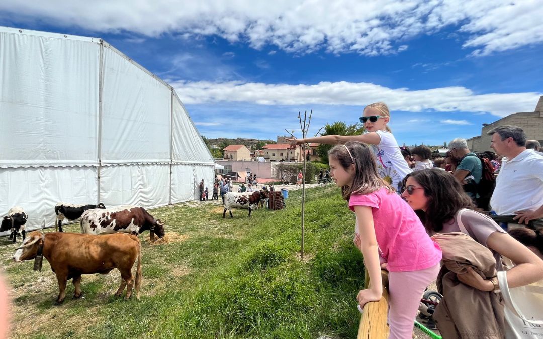 La carpa ganadera atrajo miradas de grandes y pequeños durante todo el fin de semana./ C.O.