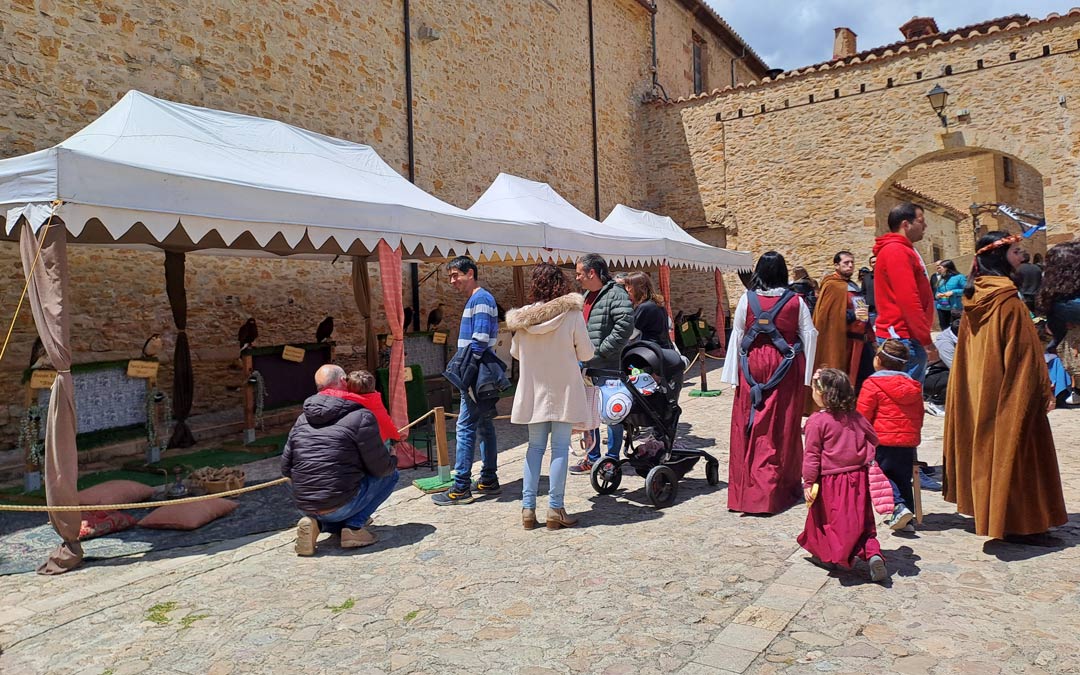Hubo exhibiciones y espectáculos de cetrería. /N.A.