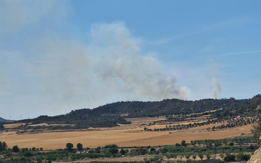 Vista panorámica del incendio declarado en Nonaspe este miércoles 29 de mayo de 2024./ INFOAR