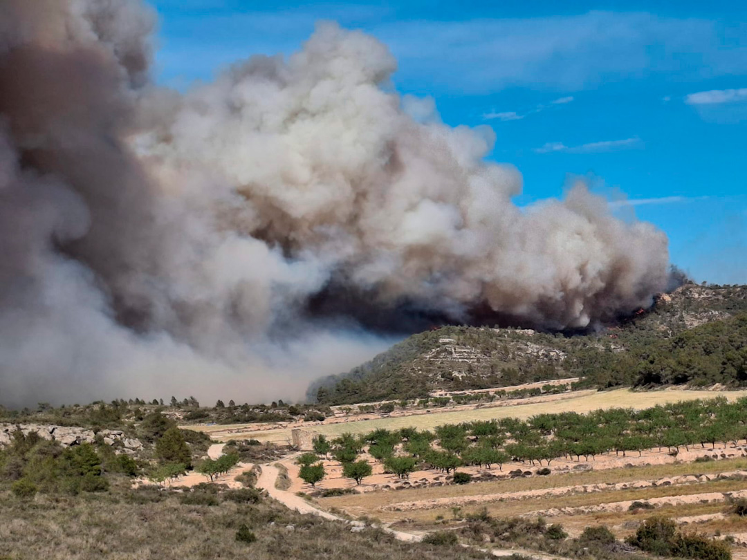 El incendio avanzo muy rápido hacia Nonaspe y Fabara y arrasó con 500 hectáreas. L.C