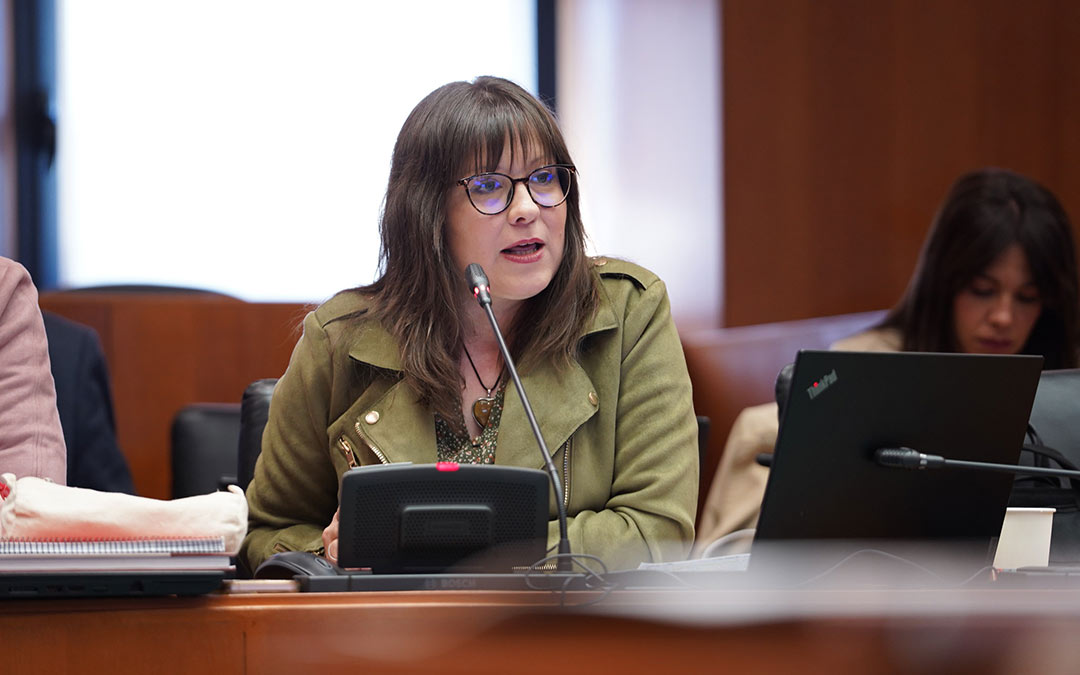 Mª Carmen Soler, diputada del PSOE por la provincia de Teruel en la Comisión de Fomento este martes./Cortes de Aragón