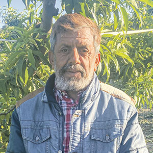 Meharban Hussain, temporero en Nonaspe./ Alba Zurita