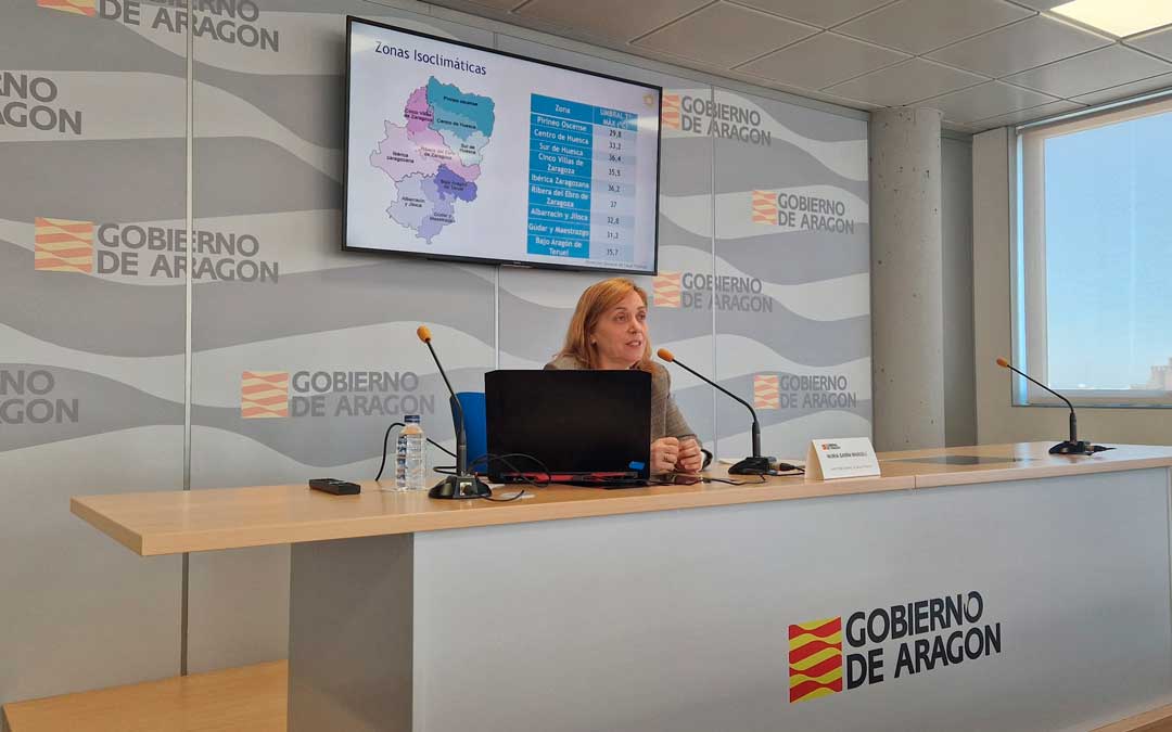 La directora general de Salud Pública de Aragón, Nuria Gayán, durante la rueda de prensa ofrecida hoy en el Departamento de Sanidad./ DGA
