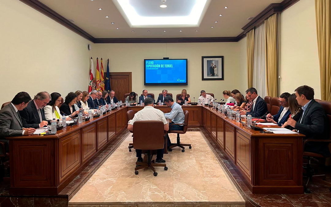 Imagen del pleno de la DPT celebrado este miércoles./ DPT