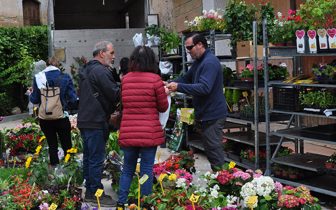 Cientos de personas han adquirido plantero para su huerto o jardín./ J.L.