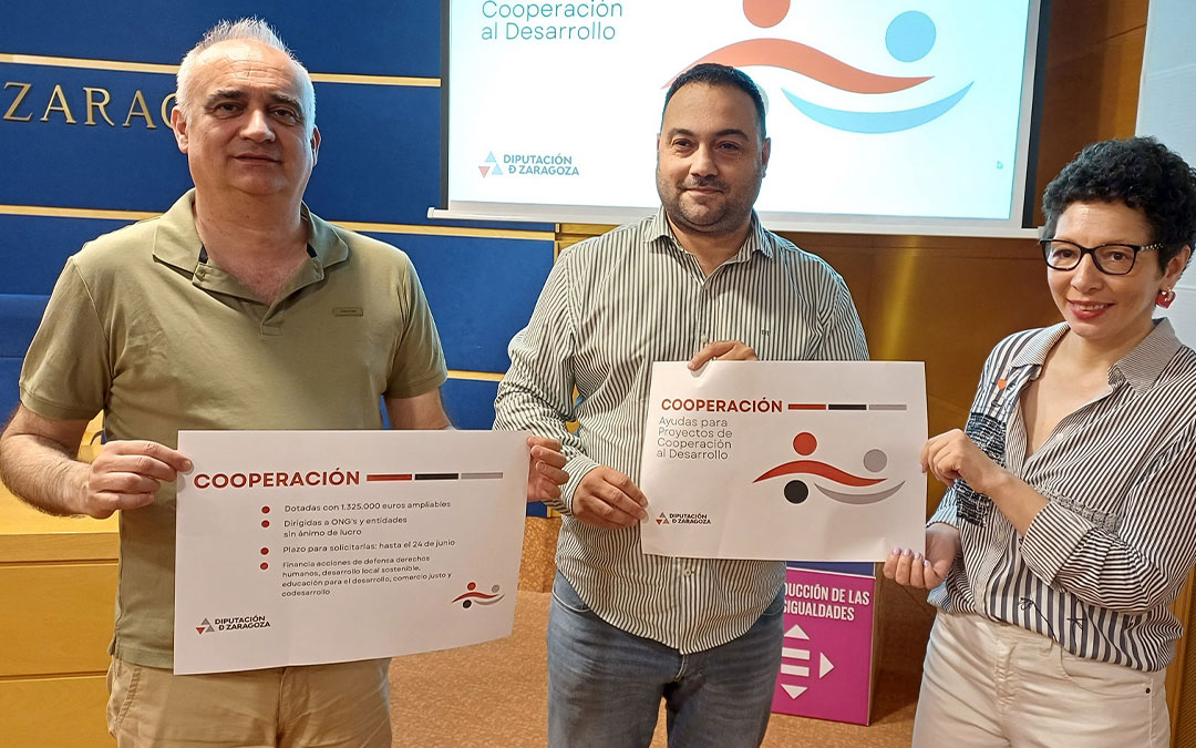 La DPZ ha presentado la convocatoria este miércoles./ DPZ