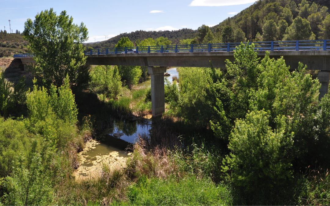 El río Algars (Calaceite) atraviesa una situación complicada. No se descarta que municipios cercanos a este puedan sufrir problemas de agua de boca./ Javier de Luna.