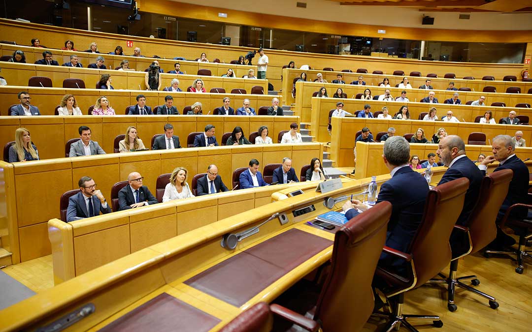 El periodista y presidente de Next Educación, Manuel Campo Vidal, presentó este jueves las conclusiones del informe en el Senado / La Comarca