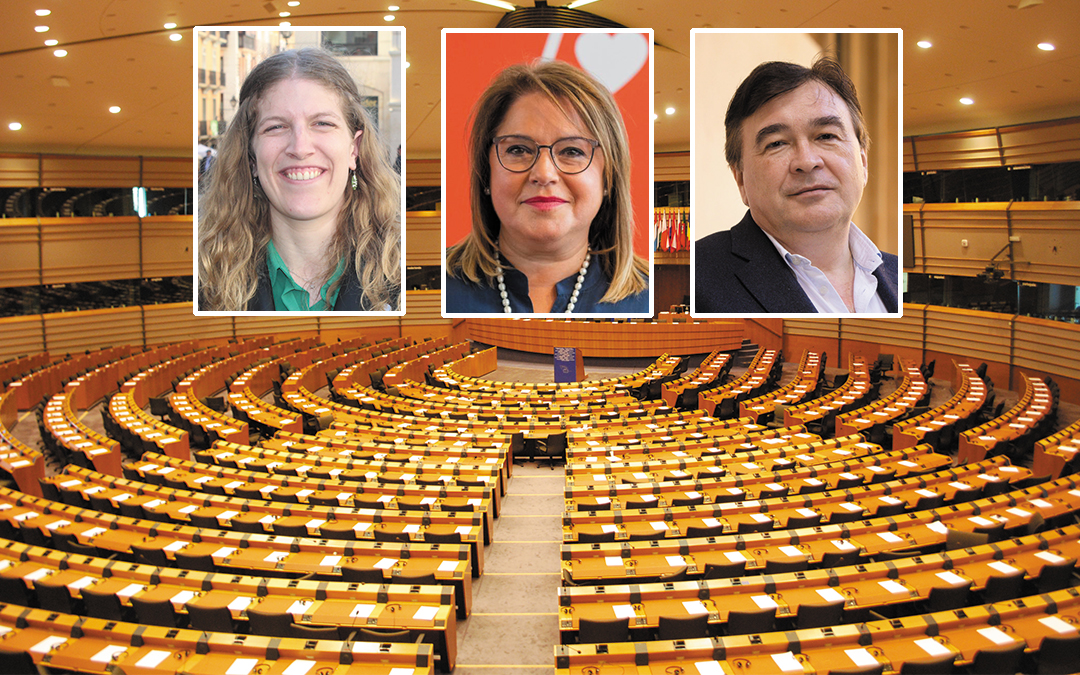 Candidatos de las proximas elecciones europeas./ L.C.